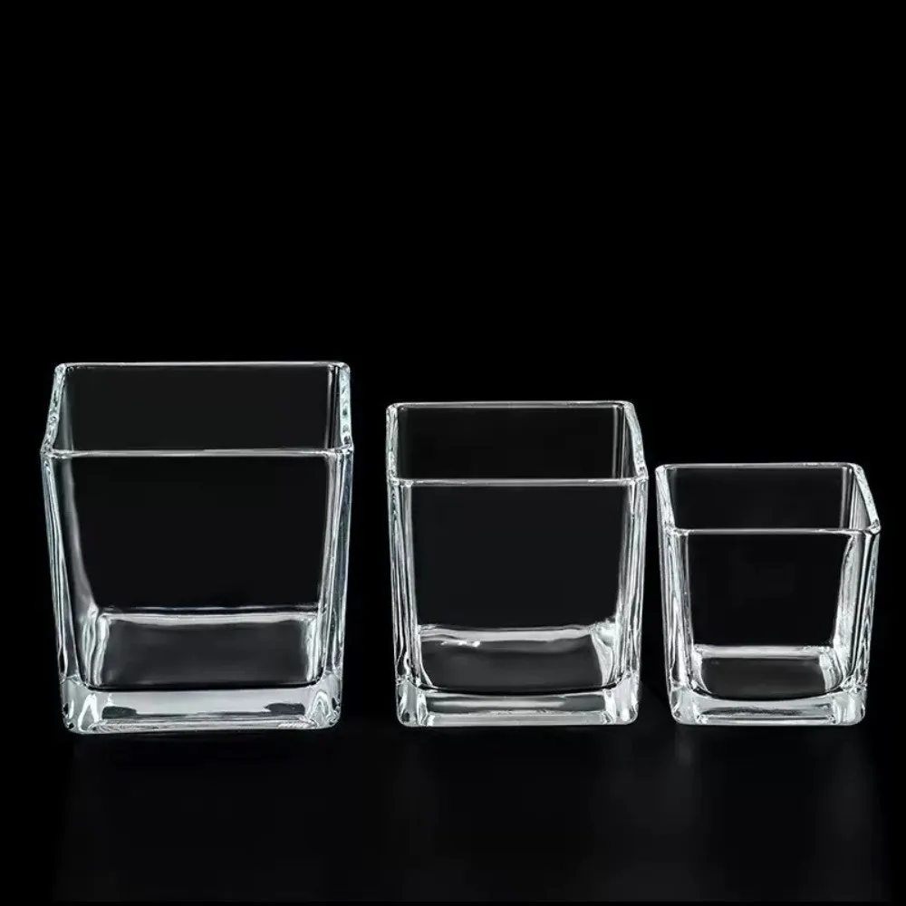 Planter Transprent Square Glass Vase Geometric Cube Vase Hydroponic Flower Pot Home