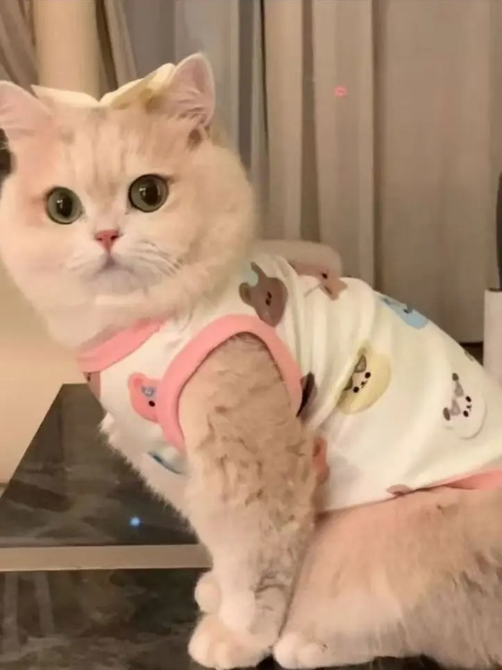 Anti-Edding Blue Go…