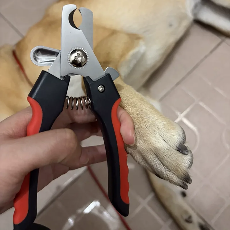 Wysokiej jakości zestaw do obc – Pet Nail Grinder recenzja i cena