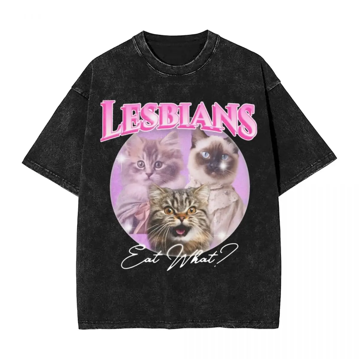 

Washed T Shirt Lesbians Eat What Cat Lesbian Pride Hip Hop Cool T-Shirts Harajuku Streetwear Cotton Printed Tops Tees Men Women