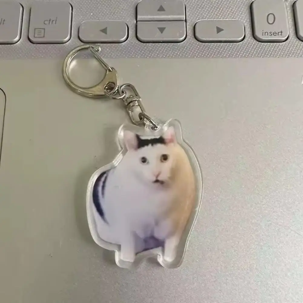 Aggrieved Crying Cat Pendant Keyring Acrylic Cute Funny Cat Memes Series Keychain For Backpack Purse Gift For Friend Llavero
