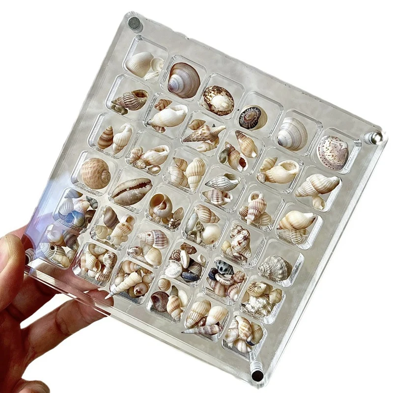 2PCS 36Grids Acrylic Clear Magnetic Seashell Display Box, Diamond Gemstone Beads Storage Display Organizer Box