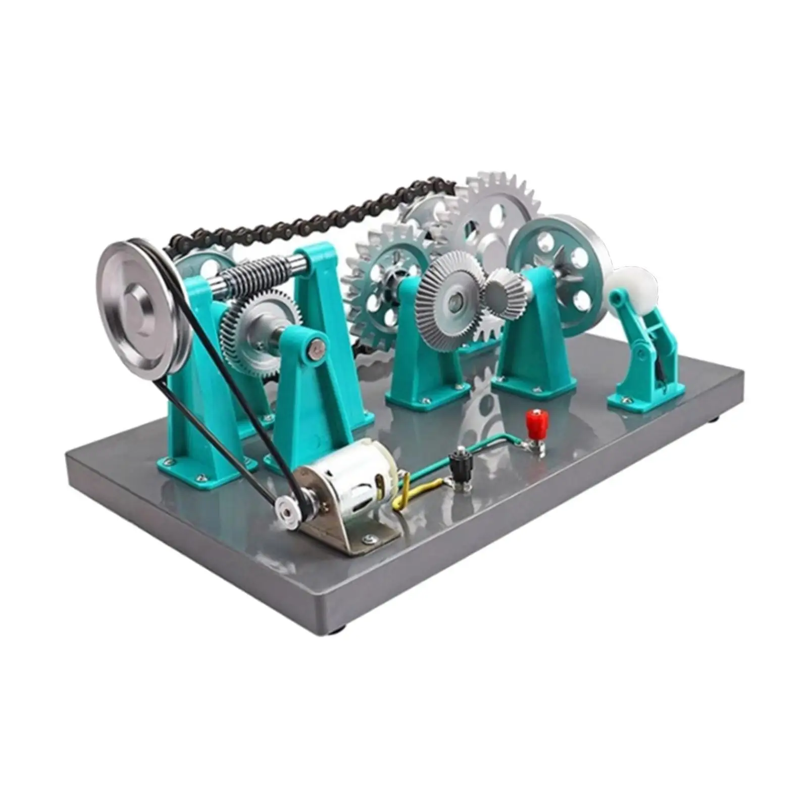 

Mechanical Gear Transmission Model Physics Demonstrations Creative Portable Science Physics Instrument for High School Classroom