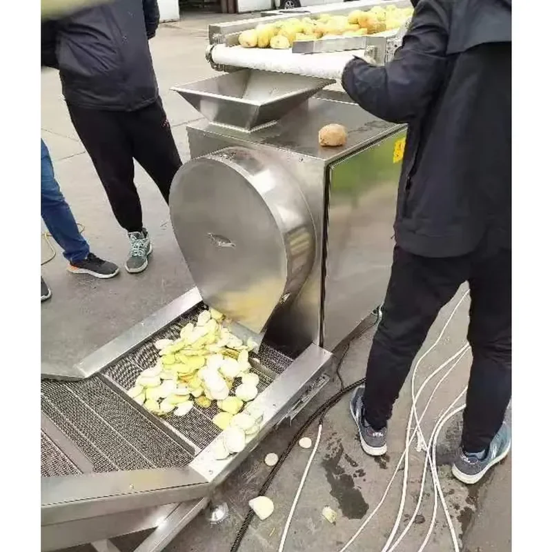 Commercial Vegetable Cutting Slicer for Ginger Potato Chip Machine Carrot Cassava Cucumber Banana Fruit Slicer