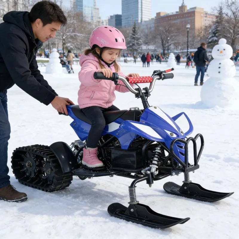 Hot-selling high-performance adult snowmobile 2-seat snowmobile, spacious, suitable for parent-child adventure use