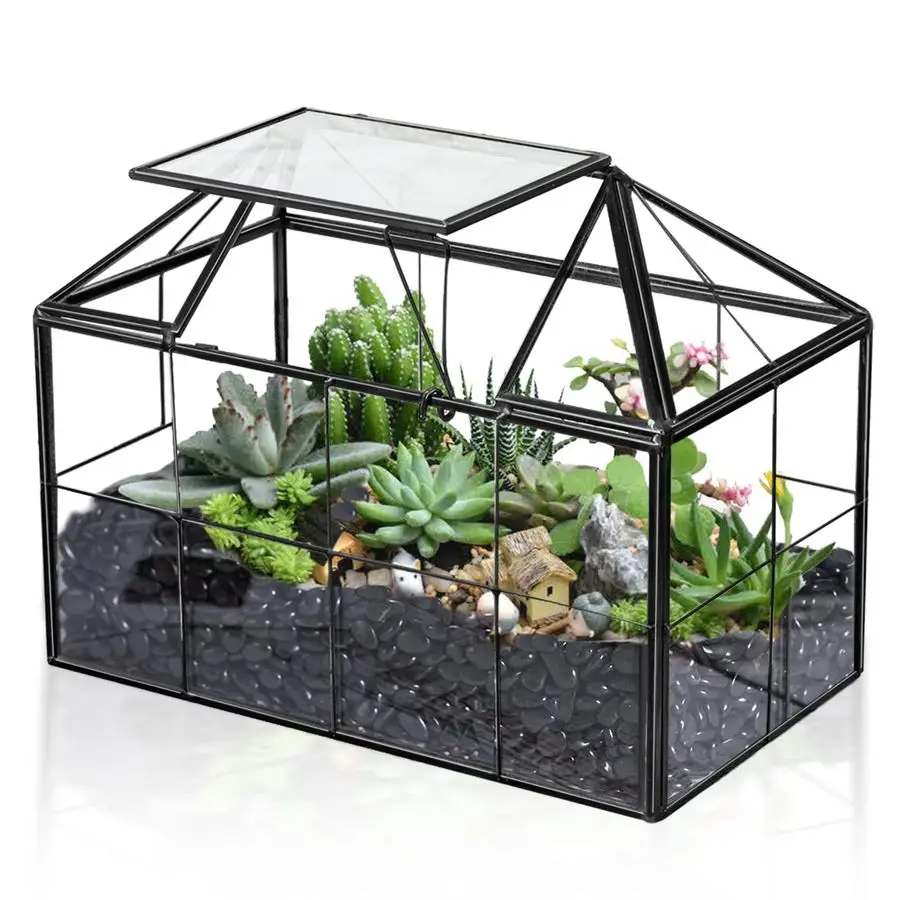

Glass Terrarium Greenhouse House Shape Display Box Planter for Succulents Plant Terrarium Container Mordern Tabletop Decor Garde