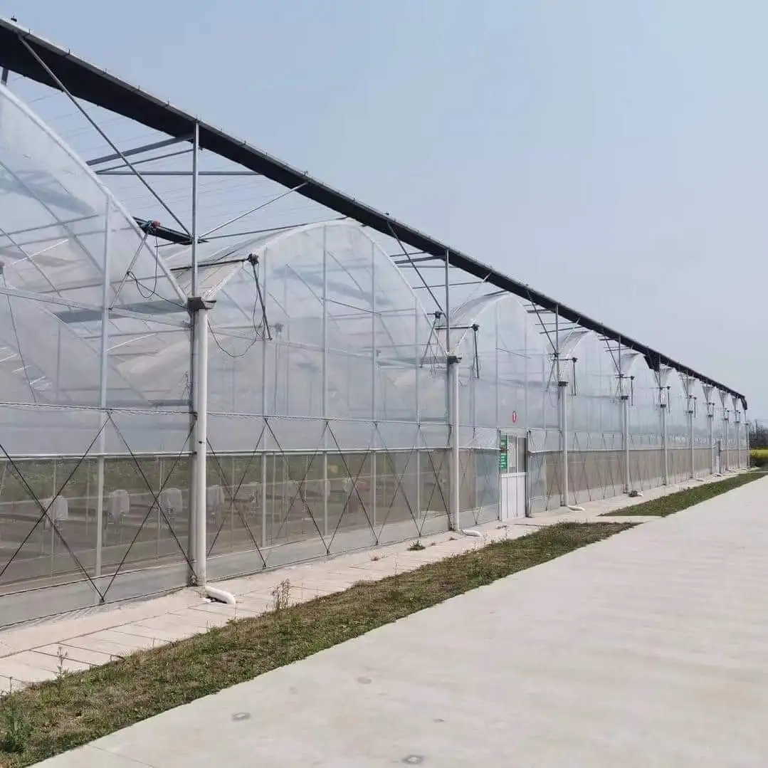 

Customized greenhouseThermal Insulated Film Greenhouse for Cold Climate Farming - Wholesale Greenhouse Frame