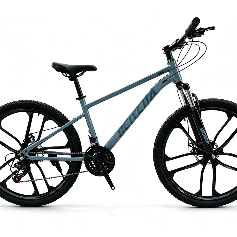 Low-priced 26-inch mountain bike 21-speed dual-disc mountain bike for men and women