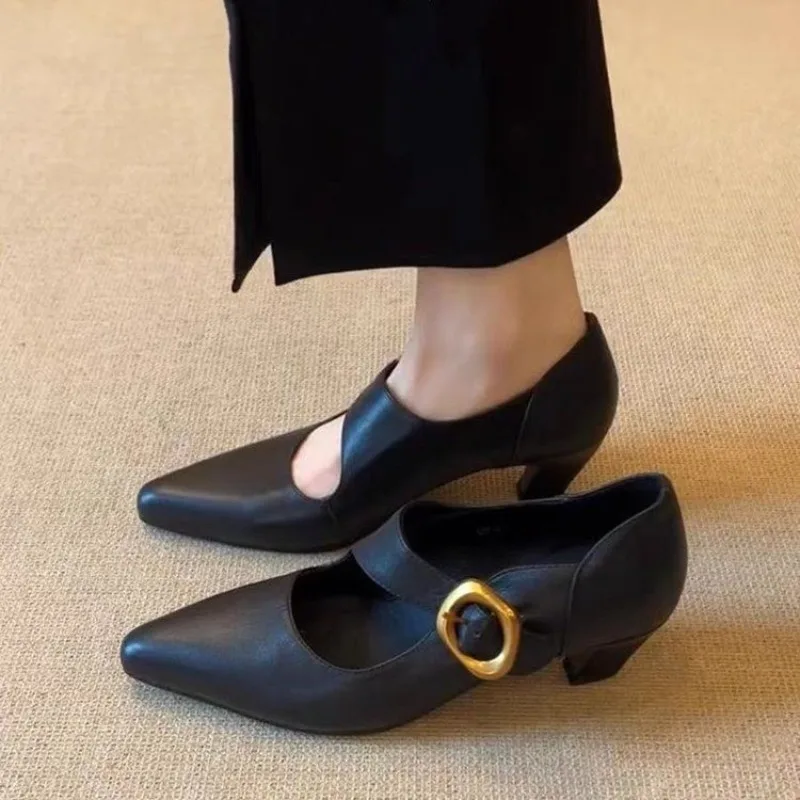 

Women's High Heels Shoes Temperament Pointed Toe Leather Single Shoes for Women Elegant Banquet Party Dress Shoes Zapatos Mujer