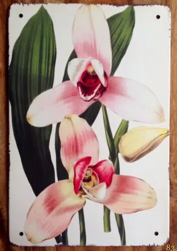 Vintage Pretty Orchid Bunch Flowers Retro Style Metal Sign Garden Kitchen Floral