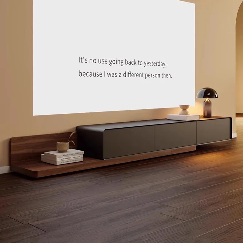 Modern Premium Tv Stand Minimalist Nordic Beauty Organizer Tv Stand Trendy Design Meubles Tv De Salon Murale Home Furniture