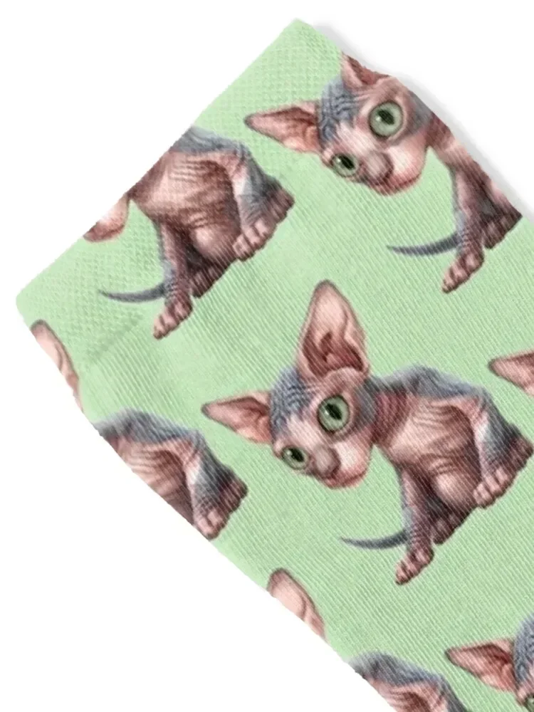Cat-a-clysm: Sphynx kitten - Classic Socks hockey tennis aesthetic short Boy Child Socks Women's