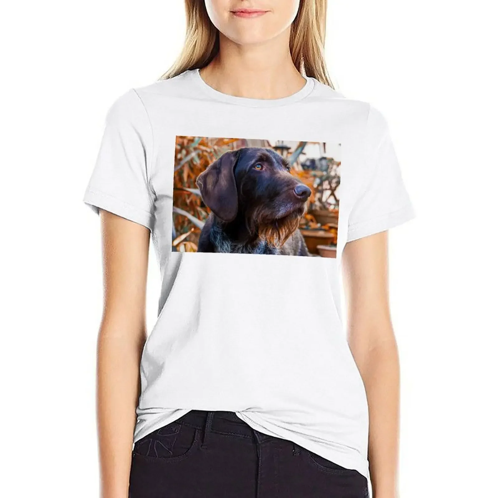 German Wirehaired Pointer Portrait T-shirt anime clothes summer clothes t-shirts for Women cotton