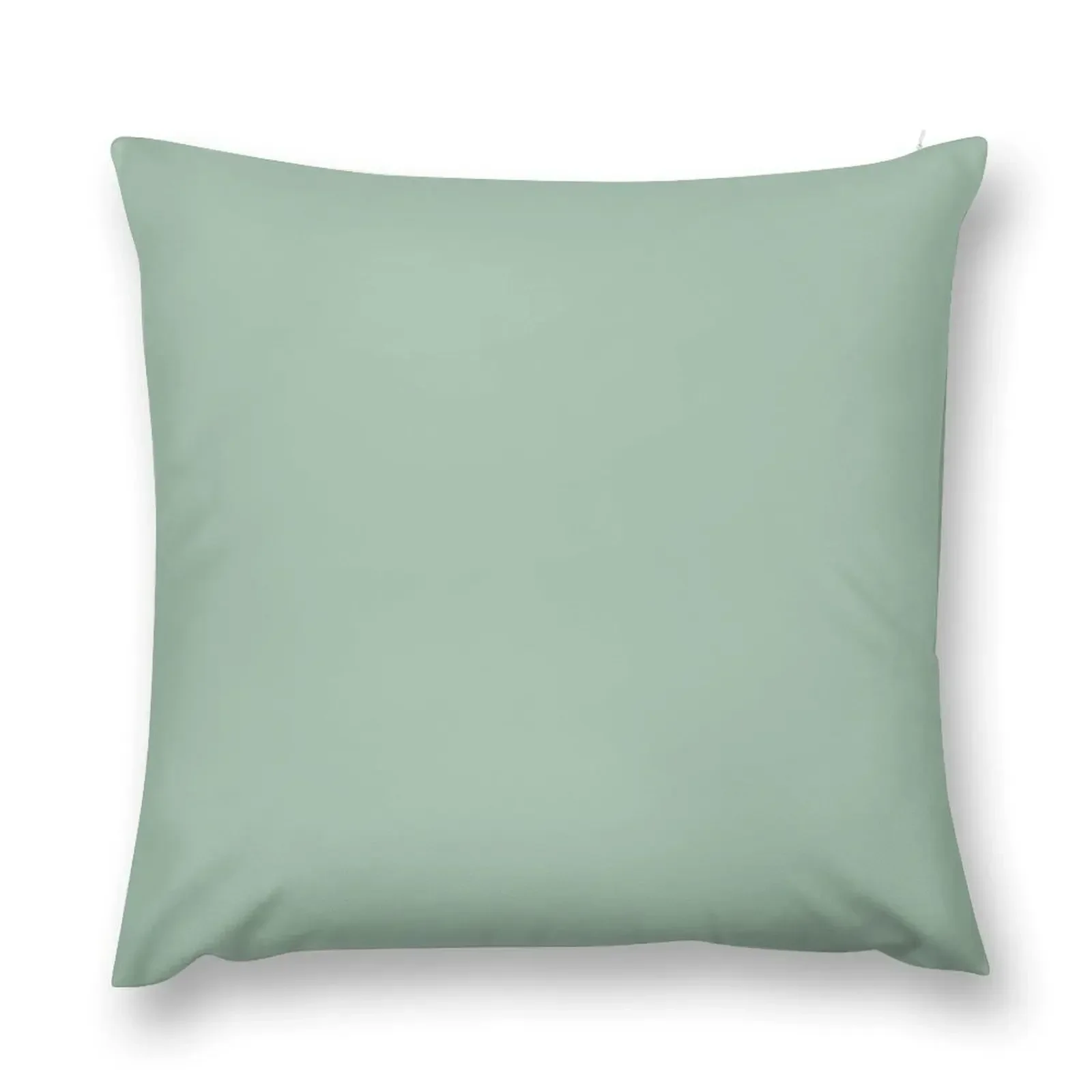 132. Cambridge Blue Throw Pillow Decorative Cushion Pillow Cases Pillowcases Cushion Covers Sofa pillow