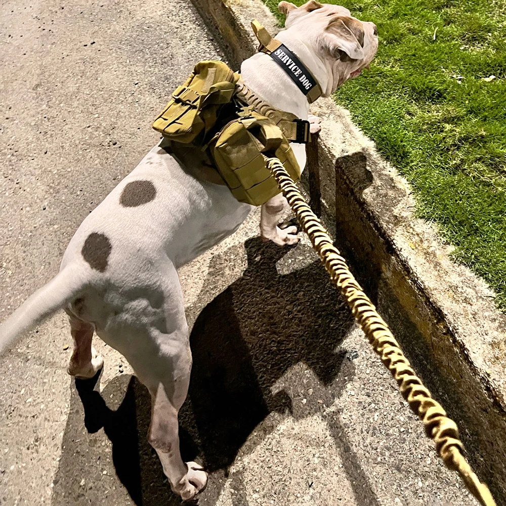 Multifunctional Dog Tactical Bag Set 3-Piece Set Can Be Fixed on the Strap Sticker Detachable Military Vest Bag Accessories
