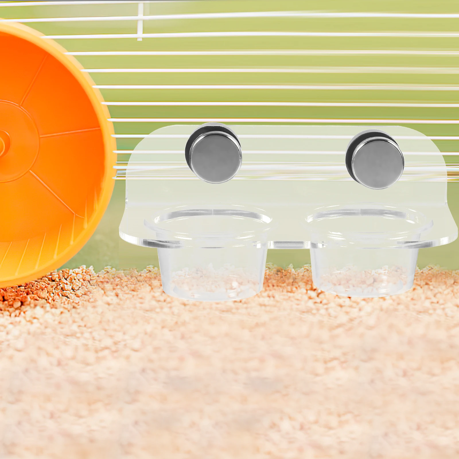 

1Set Gecko Feeder Magnetic Food and Water Cup Thick Transparent Design Easy Maintenance Reptile Terrarium Supply