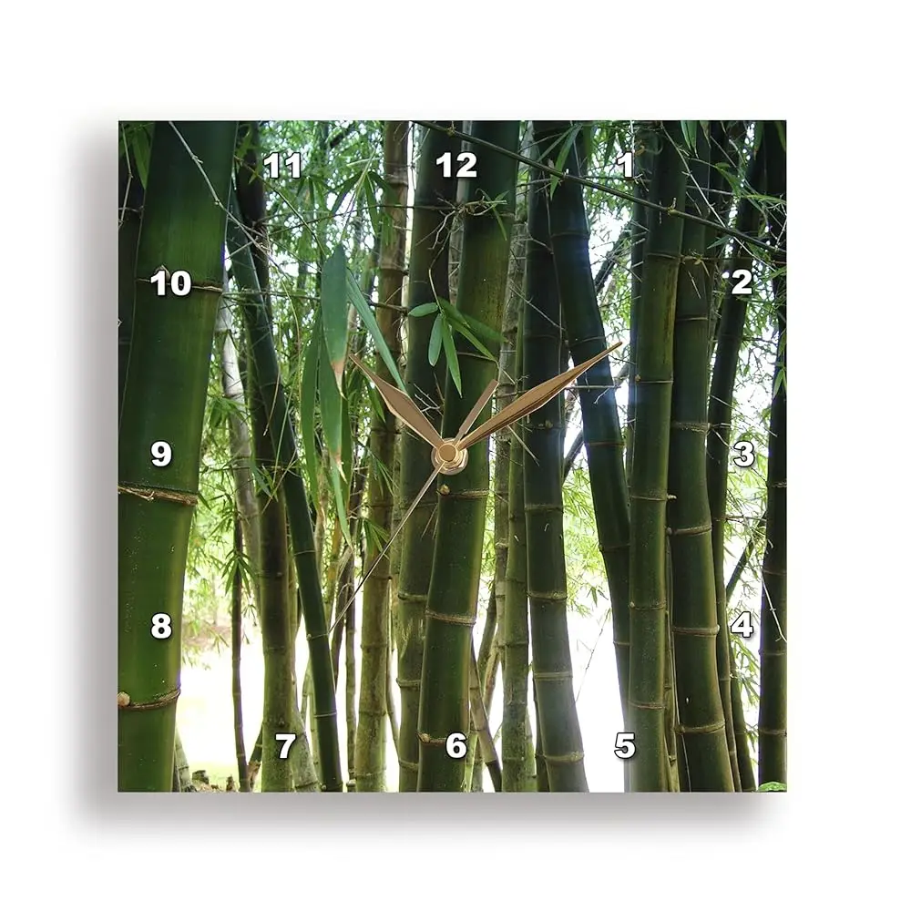 Jam Dinding Dekat Bambu, 10 Inci (Dpp_18608_1)