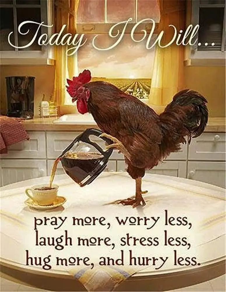 

Vintage Rooster Today I Will.pry More,Worry Less Metal Tin Sign 8x12 Inch Retro Home Kitchen Farm Bar Pub Cafe Wall Decor