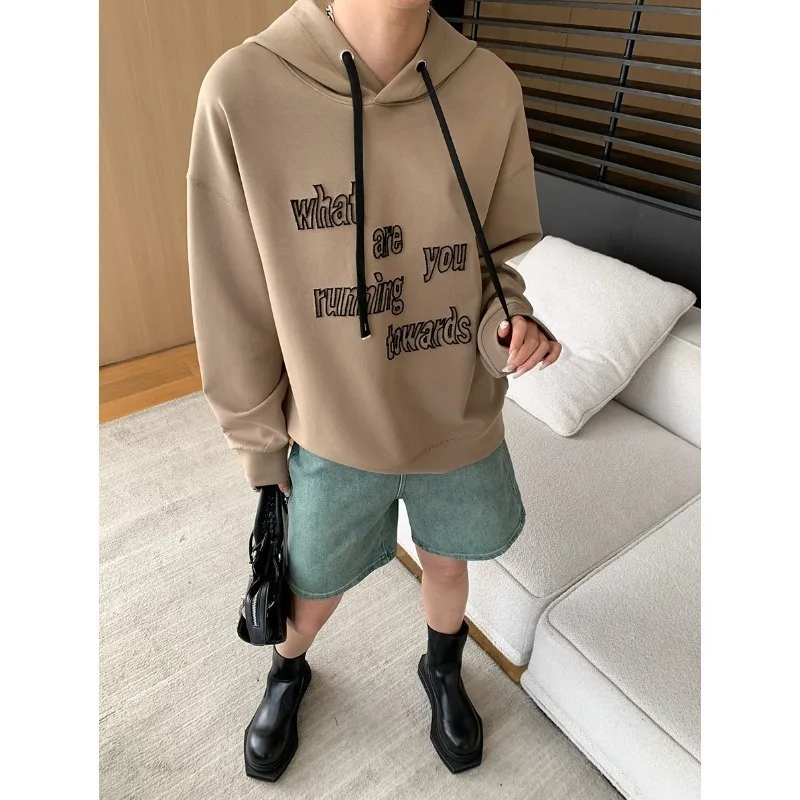 

Sinan American Street Style Special Three Dimensional Letter Embroidered Hoodie 2024 Early Autumn New SN6110