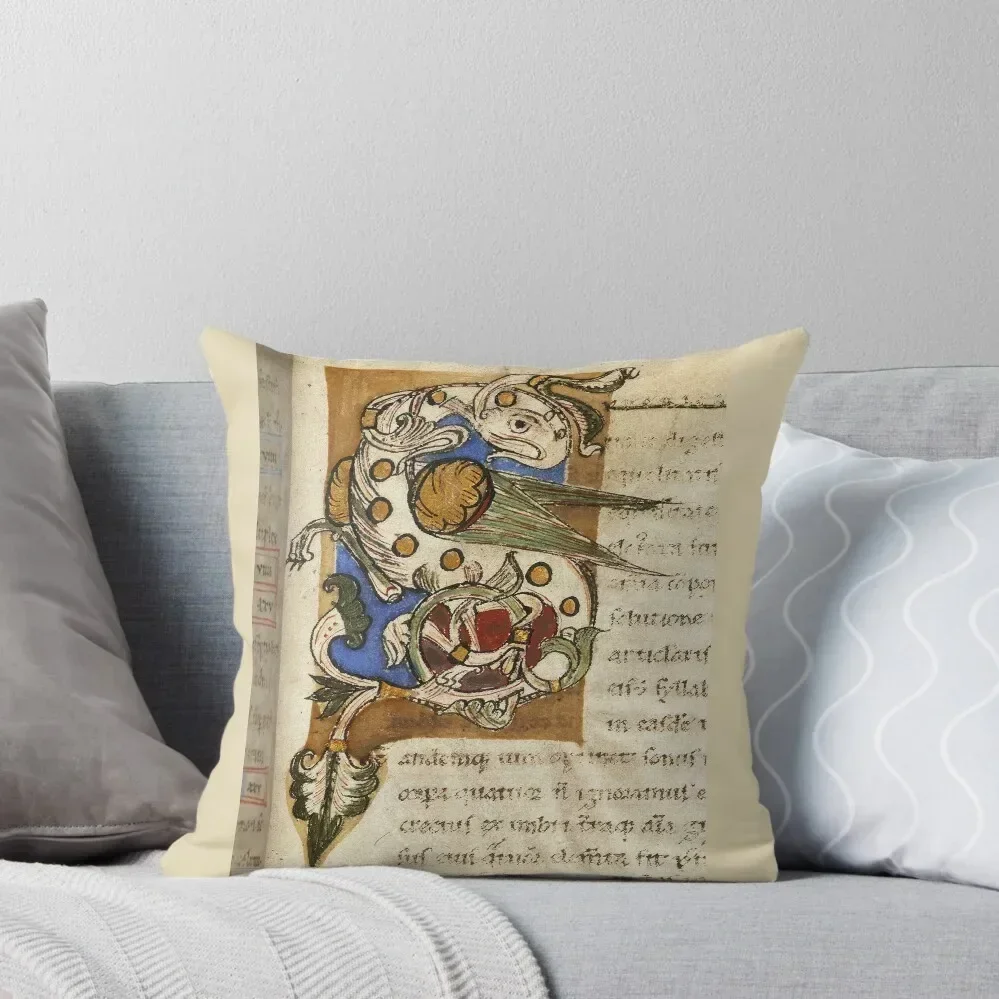 

S is for Strange Throw Pillow Christmas Covers For Cushions Room decorating items Pillows Aesthetic pillow