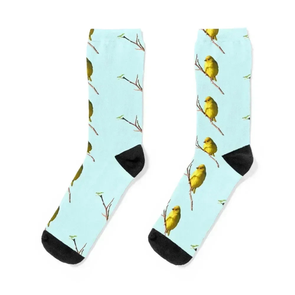 

Canary Socks sport hip hop Rugby Men's Women's Socks Men's