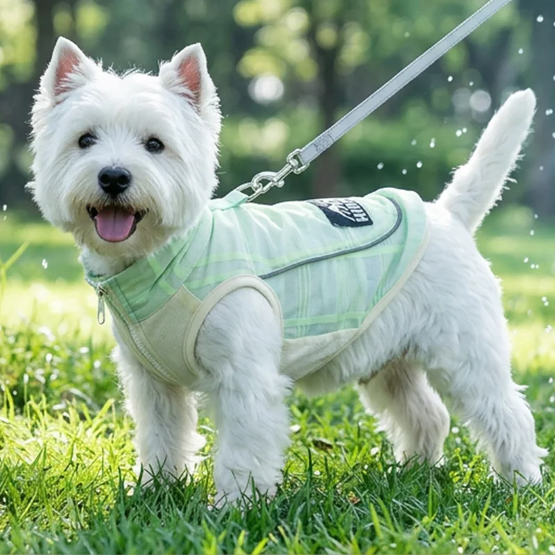 Green Pet Cooling Harness Vest Adjustable Reflective Puppy Summer Clothes For Small Medium Cat Teddy Yorkshire Dogs Cool Jacket