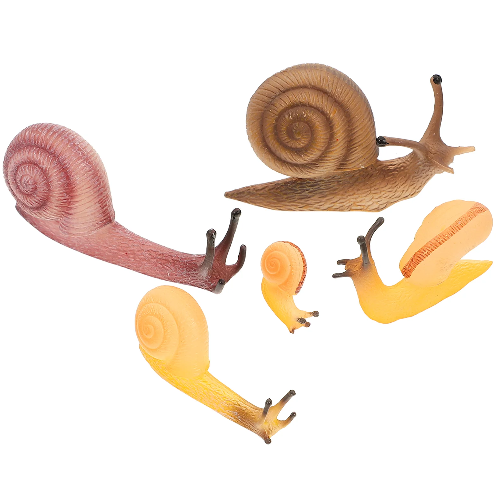 

5 Pcs Simulation Snail Toy Adornment Realistic Figurines Figure Model Miniature Snails Statue Decoration Fake Toys