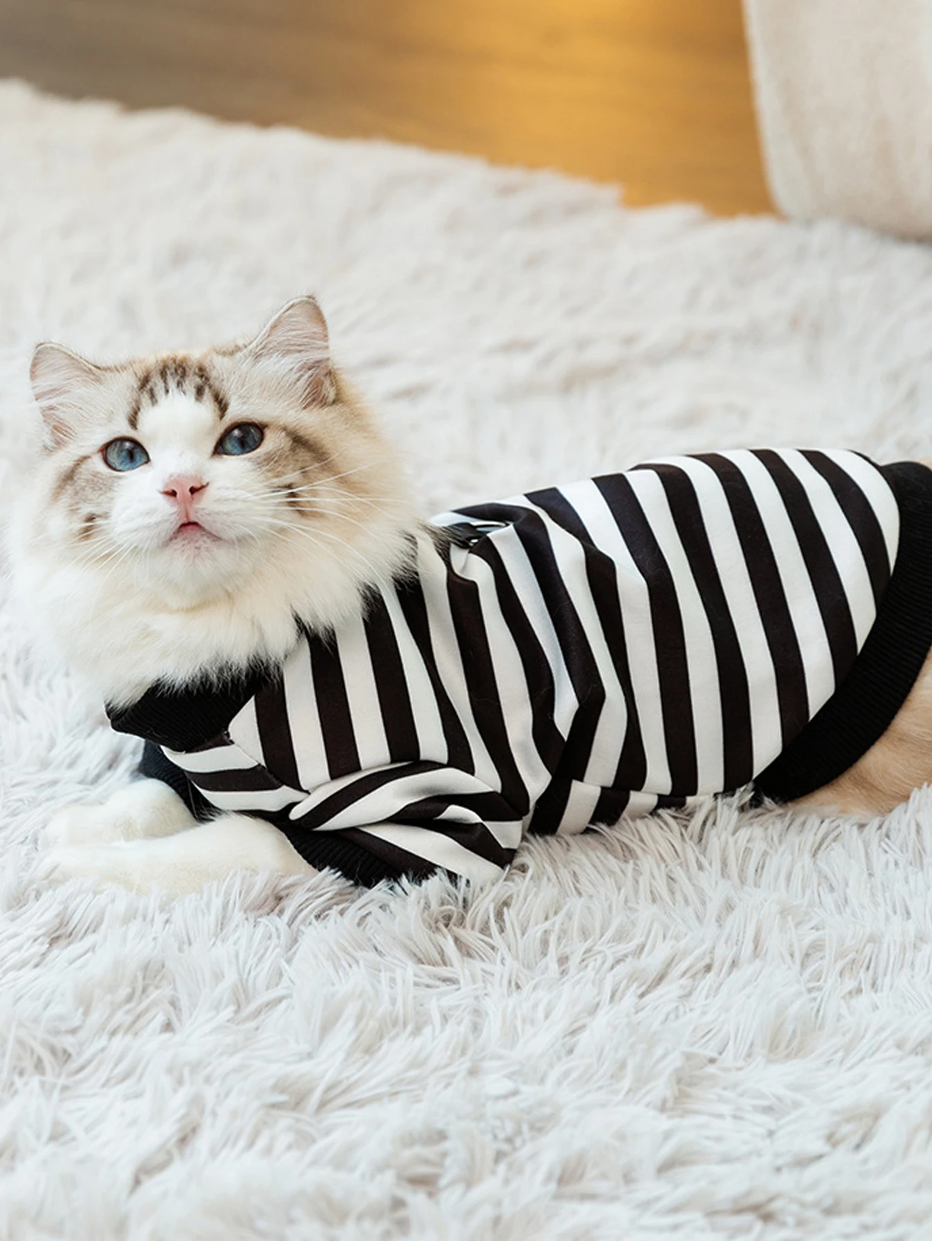 UFBemo Dog Clothes Teddy York Shire Polo Shirt Dress Striped Pet T-Shirt Dog Costume Soft Pullover Suit for Dog Puppy