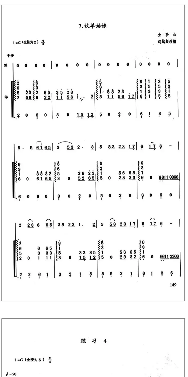Xiao Tutorial libro di musica cinese Etude elementare