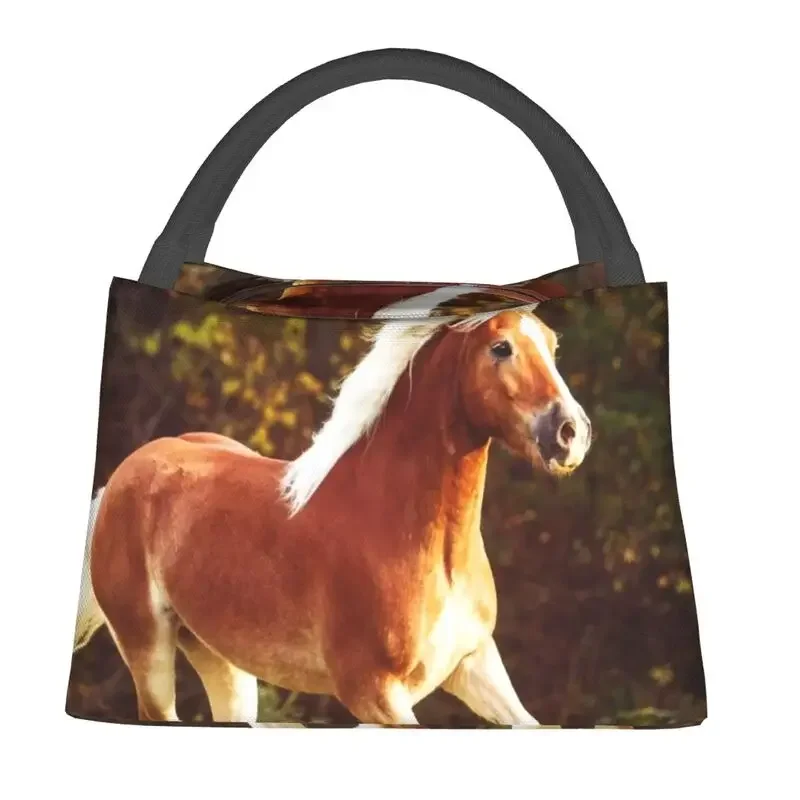 Haflinger Horse Thermal Insulated Lunch Bags Women Animal Resuable Lunch Container Camping Travel Multifunction Meal Food Box