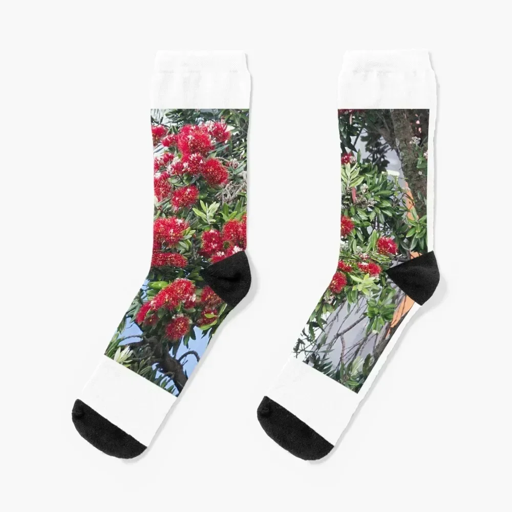 

G17_1366 Socks cool winter gifts luxury christmas gift Women Socks Men's