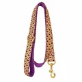 Leash