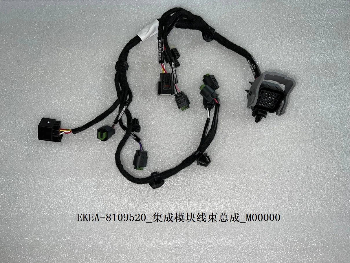 For BYD SEAL Integrated Module Wiring Harness Assembly EKEA-8109520