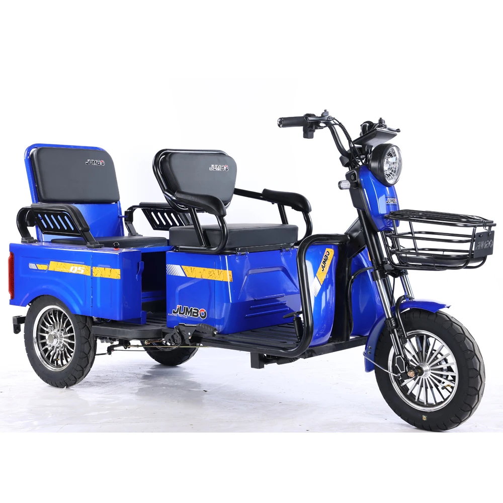 Two-Seater 60V 800W Electric Tricycle 3-Wheel Electric Bike for Adults Factory Price Open Body Type