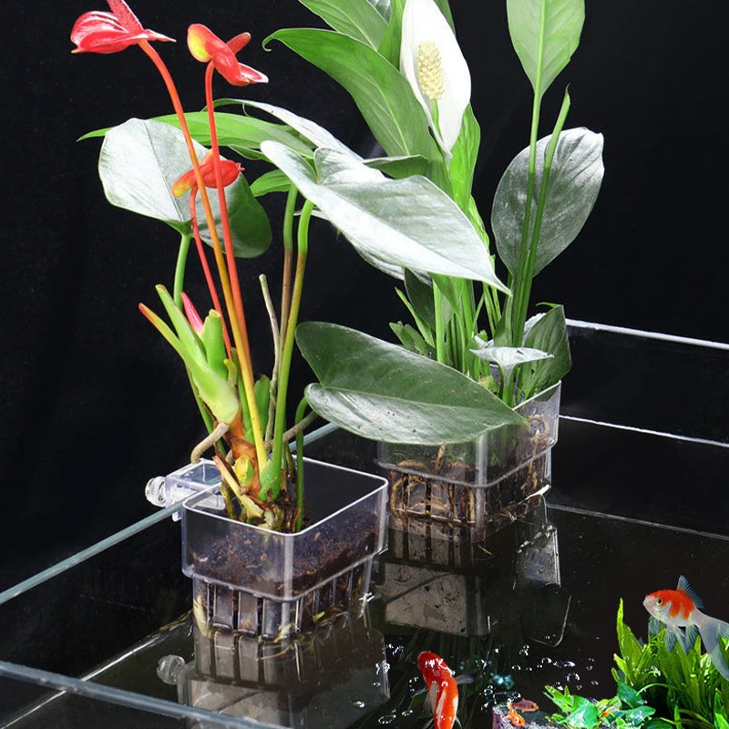 

5PCS Aquarium Plant Holders Transparent Plastic Fish Tank Hydroponic Plants Pots Hanging Planting Basket for Fish Tank Decor