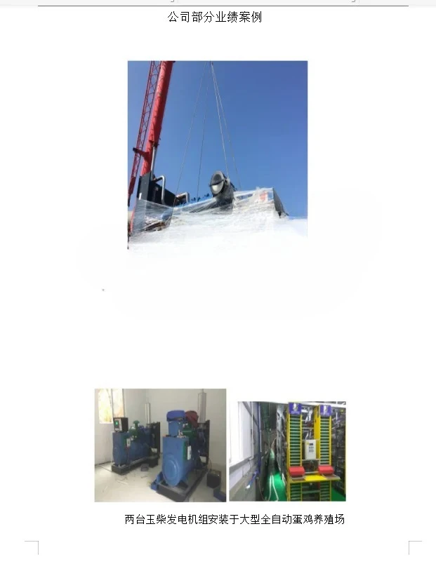 30KW50/100kW 200/300kW 600 Automatic Diesel Generator Set