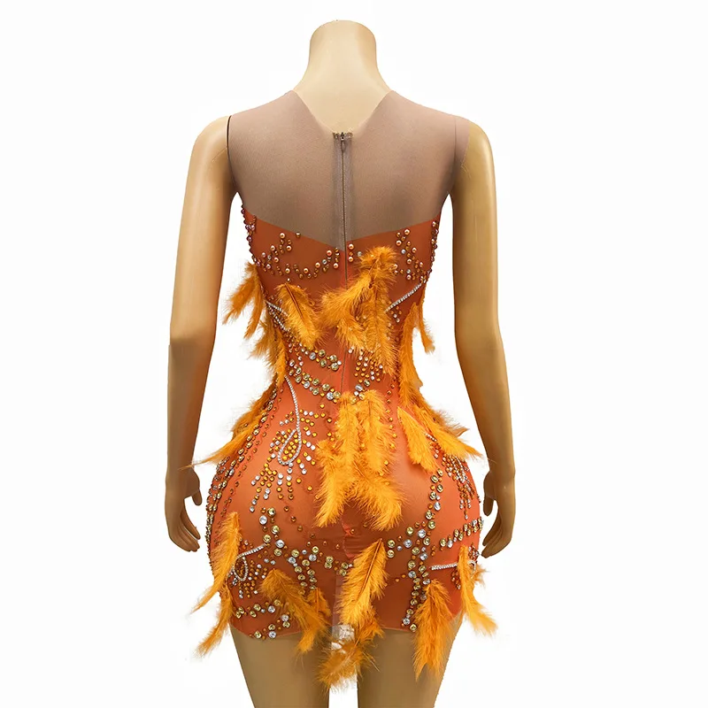 الماس عيد ميلاد زي ملهى ليلي بار ريشة سليم فستان المغني مأدبة Vestidos De Ocasião الرسمي Vestidos De Fiesta De Lujo