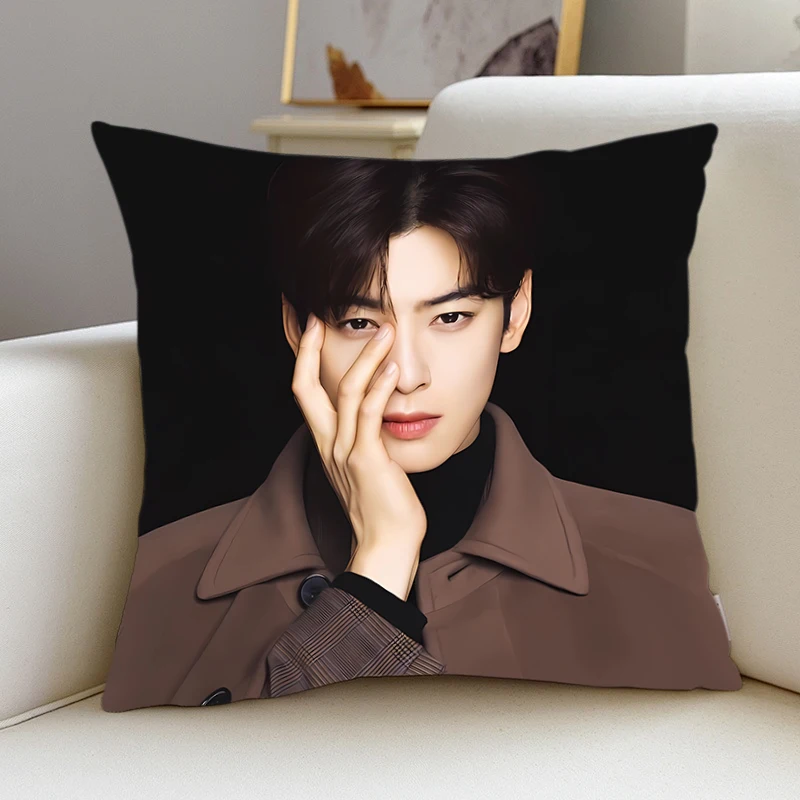 Pillow Cover C-Cha-EunWoos kpop room bedroomo office coffee shop car Dakimakura Throw Pillows iving room Pillowcase Home Decor