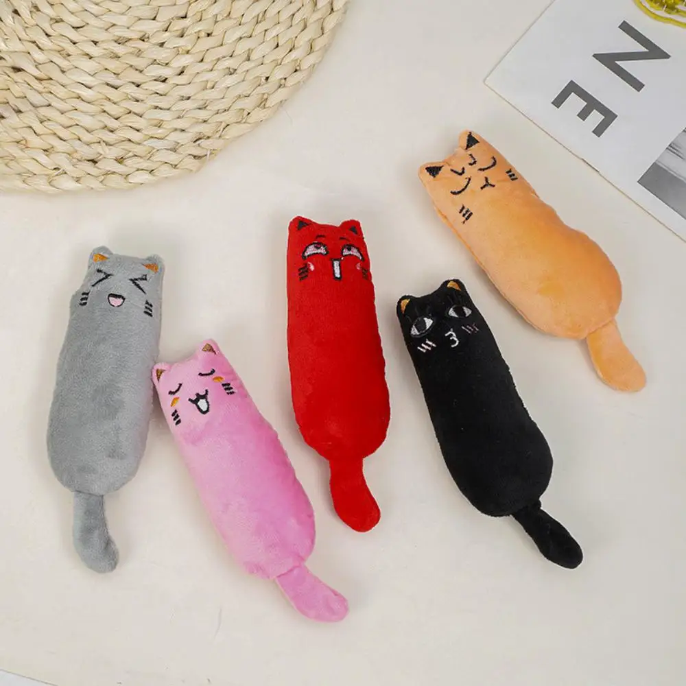 Warum Catdig: Die perfekte Wahl für Katzenfreunde auf AliExpress