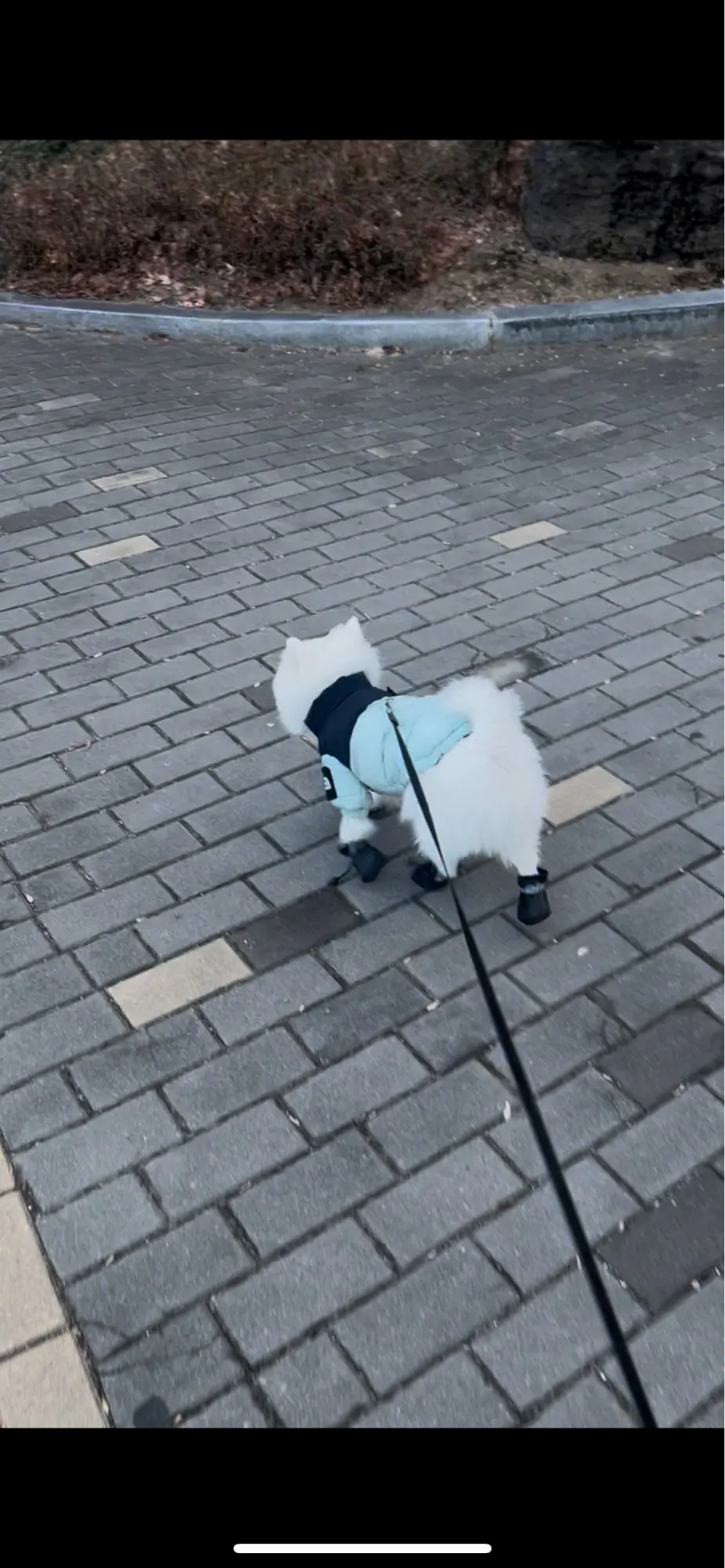 구매후기