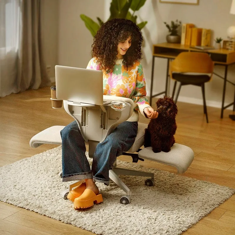 

Free Chair Computer Office Chair Single Sofa Riding Leisure People and Pet Sharing
