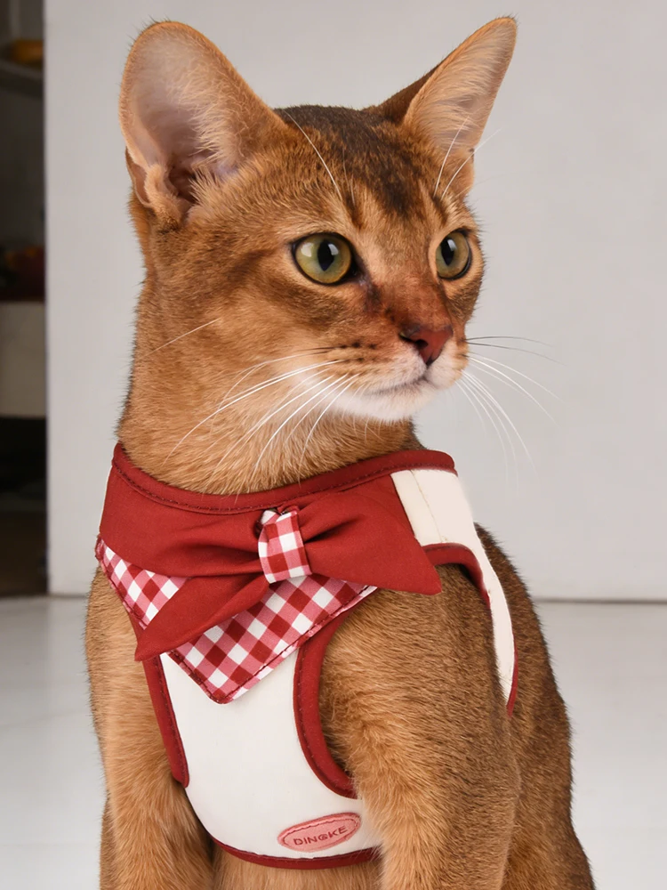 Modisches Haustiergeschirr mit abnehmbarer Schleife, atmungsaktives Mesh-Futter, zugfreie Weste, bequem und ausbruchsicher für kleine Hunde und Katzen – Detail 14