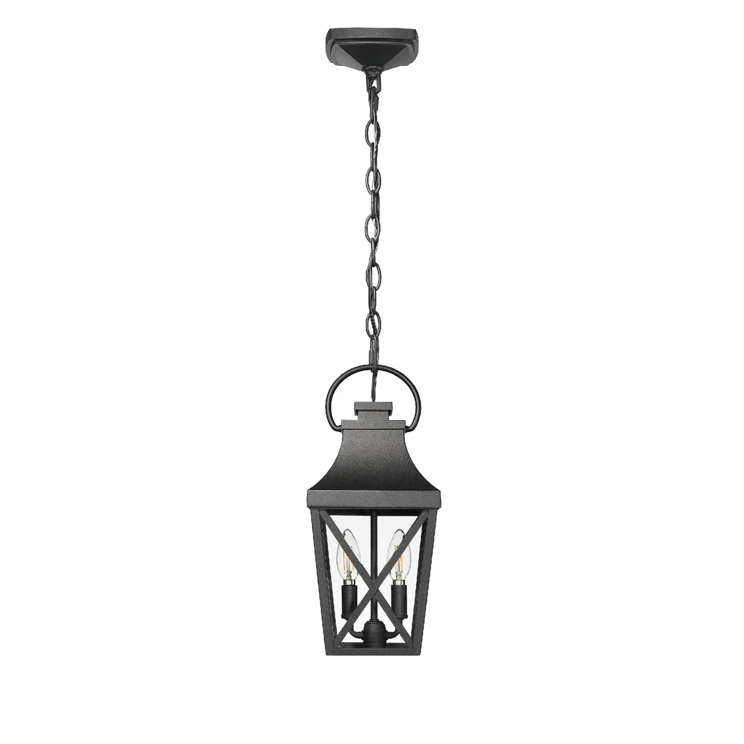 

Black Outdoor Pendant Light 2-Light Outside Pendant Hanging Light Fixture Ceiling Mount with Clear Glass Industrial Hanging Cage