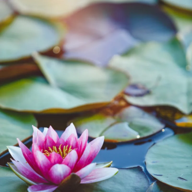 

1/10 RC Rally Drift Tires 65mm On Road Racing Car Wheels Tyres for Tamiya TT01 TT02 XV01 XV02 PTG-2 HSP1/10 RC Rally Drift Tires