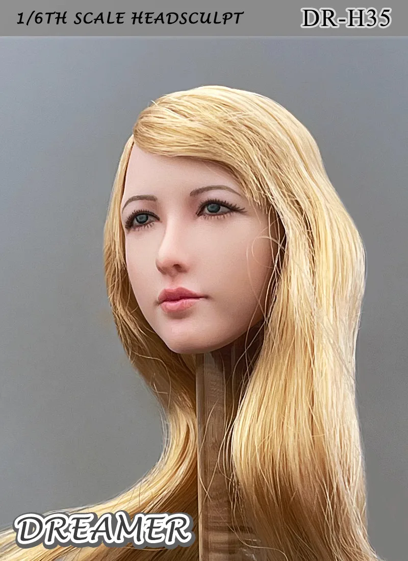 

In Stock DREAMER Toys Model 1/6 Beauty Female Girl Realistic Head Sculpture Carving with Long Gold Hair For 12" TBL PH Action