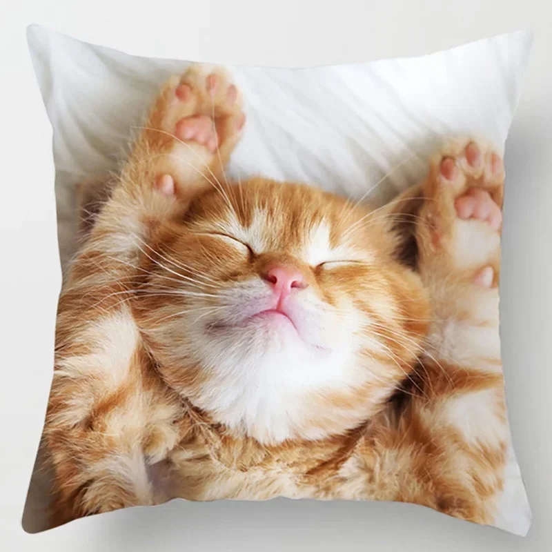 45X45CM  Cat Collection Pillowcase Home and Office Decor Square Pillowcase