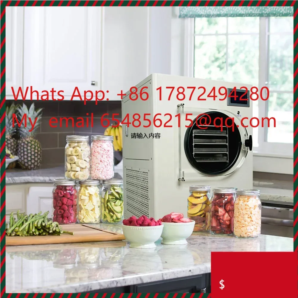 Mini Vertical 220V Lyophilizer for Home - 3kg Vegetable and Fruit Dryer, Pump, Motor and PLC Included