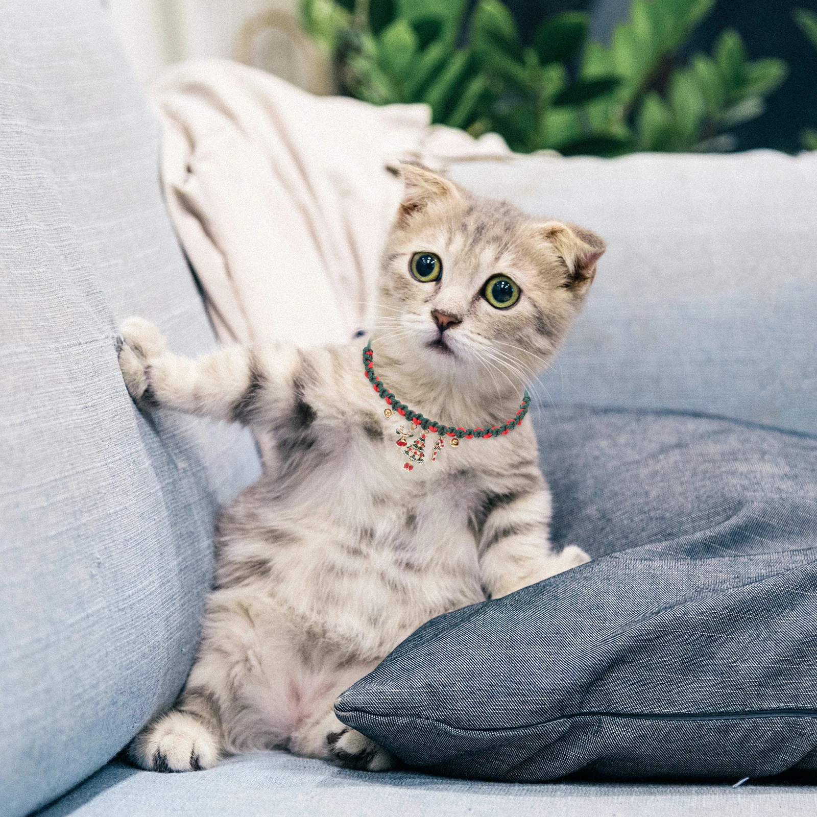 طوق قطة محبوك مضفر باللون الأحمر والأخضر مع جرس تصميم أمان قابل للتعديل لقضاء عطلة عيد الميلاد اليابانية الكورية #3