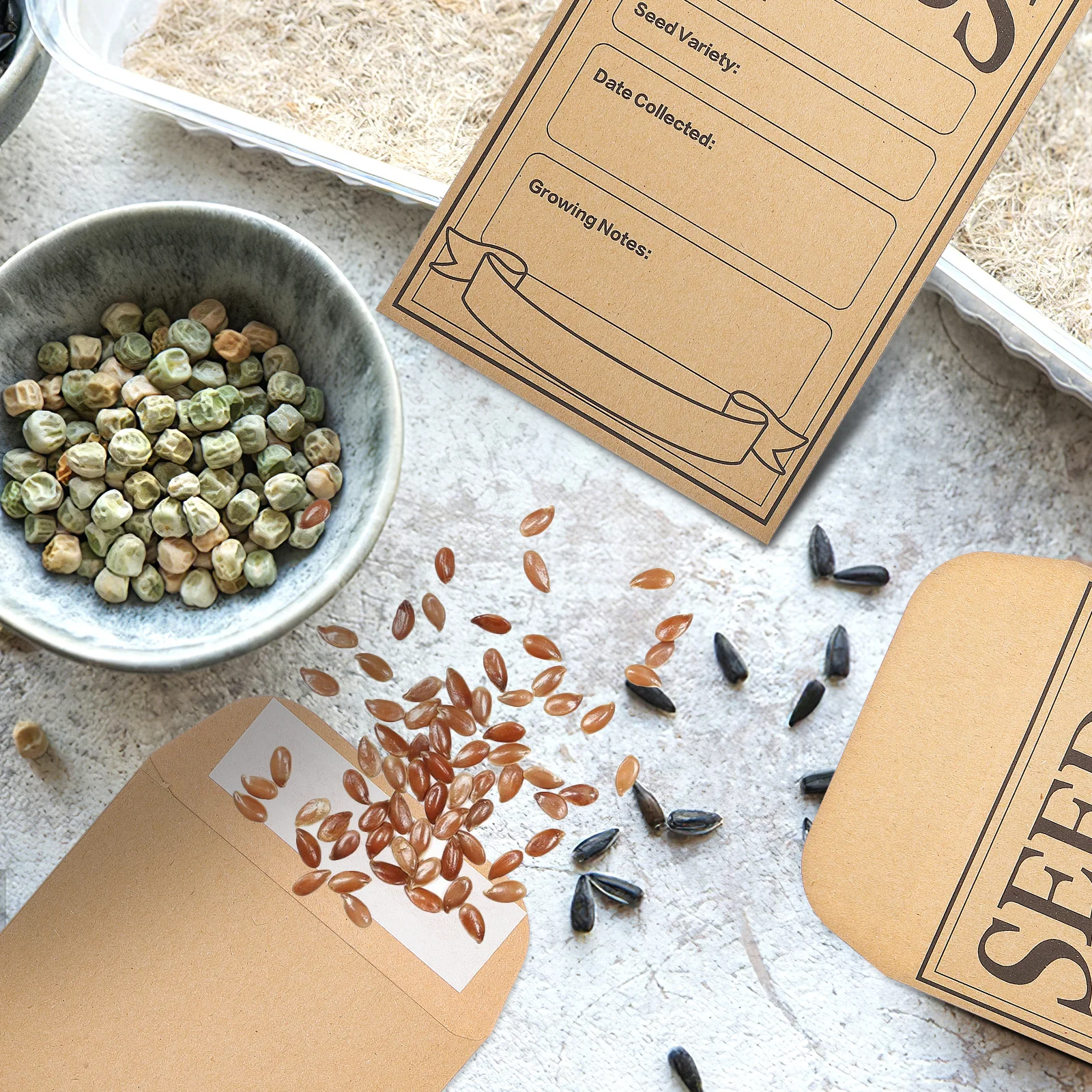 200pcs Kraft Paper Envelopes Small Brown Mini Storage Bags For Cash Deposit Mailing Letter Wage Packaging Envelopes