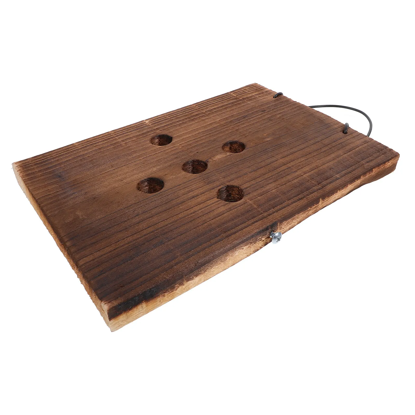 Staghorn Fern Mounting Board Carbonized Solid Wood Vertical Planting Board for Wall Mounted Indoor Vertical Garden Planter